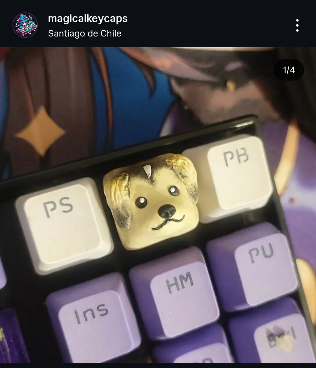 Tecla Custom de tu Mascota