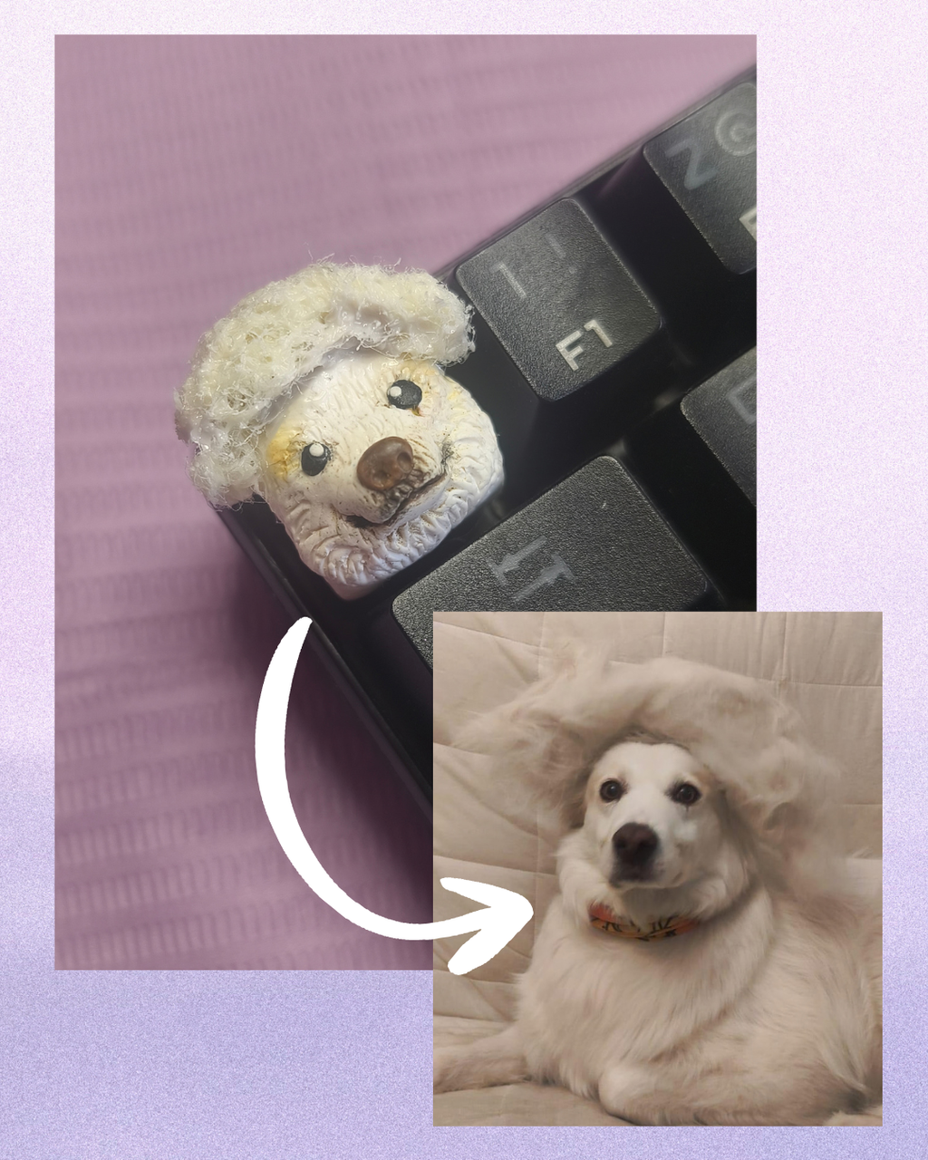 Tecla Custom de tu Mascota