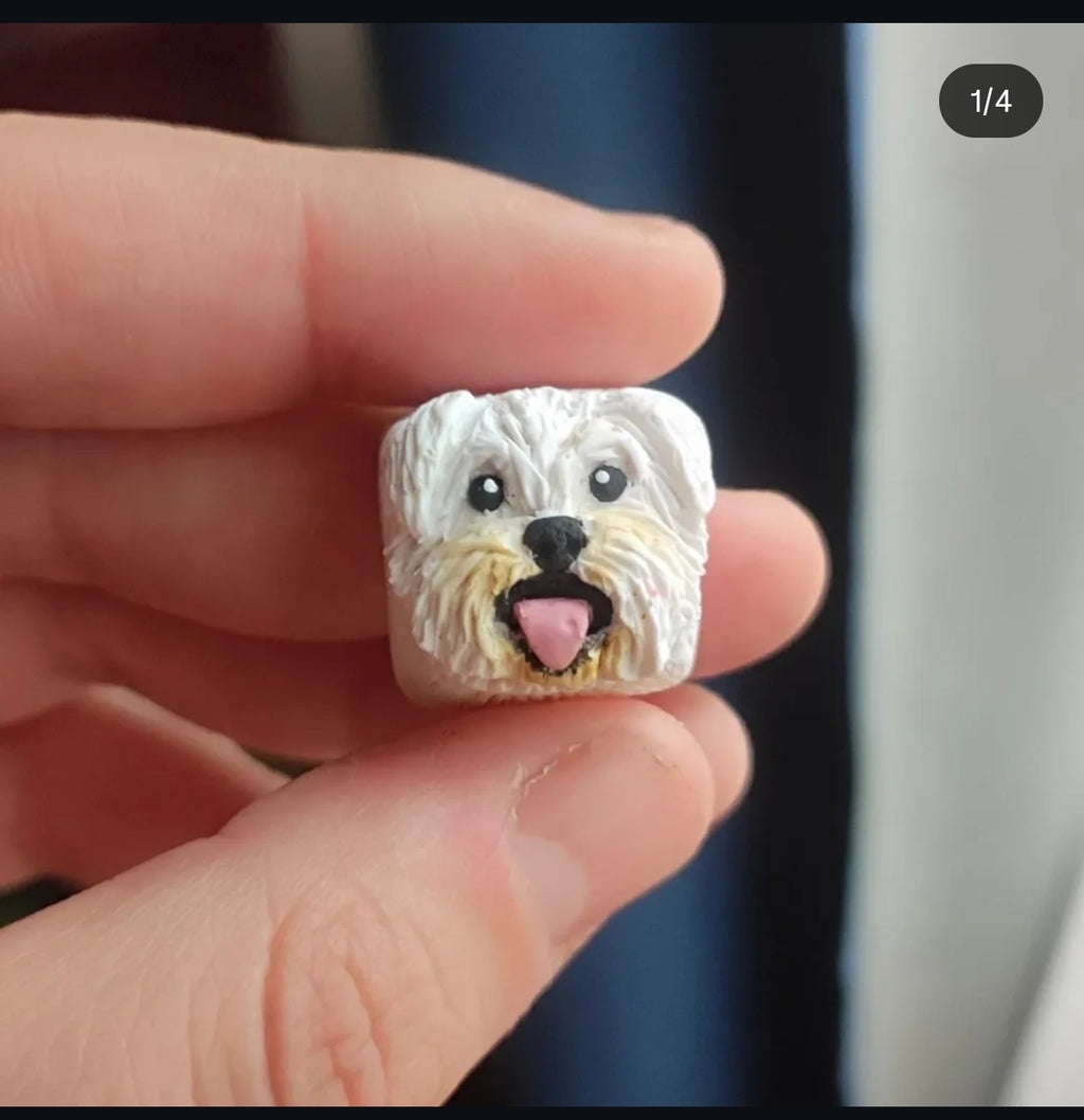 Tecla Custom de tu Mascota